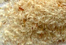 spices2
